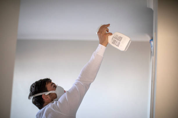 Best Mold Testing  in Peridot, AZ