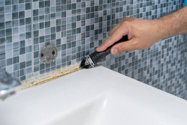 Best Certified Mold Removal  in Peridot, AZ